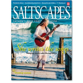 Saltscapes