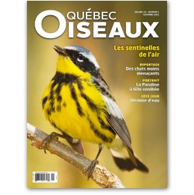 Québec Oiseaux