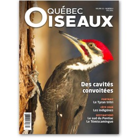 Québec Oiseaux