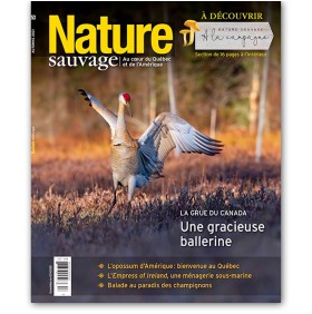 Nature sauvage