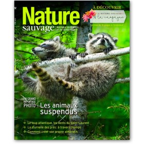 Nature sauvage