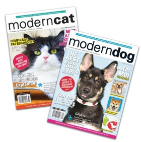 Modern Cats & Dogs