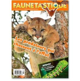 Faunetastique