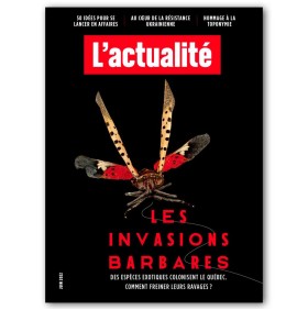 L'actualité